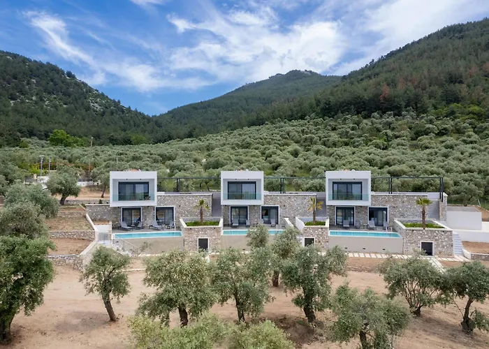 度假居 Thea Luxury Living *