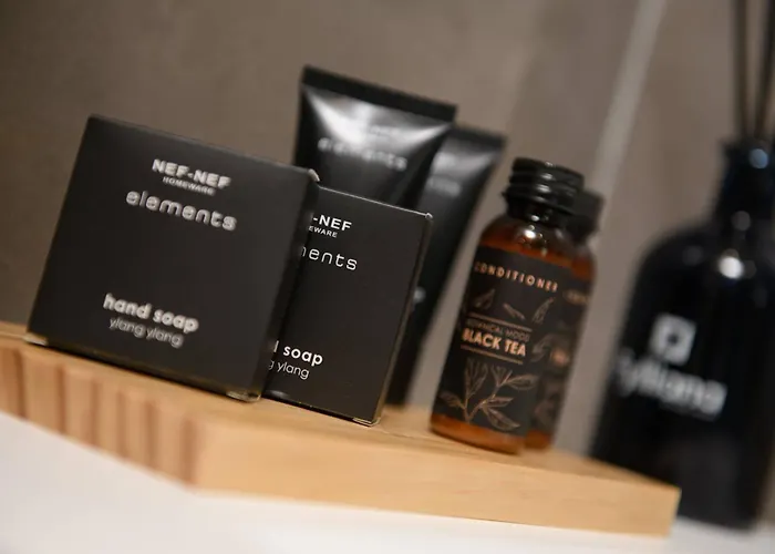 Thea Luxury Living 度假居 帕奇斯